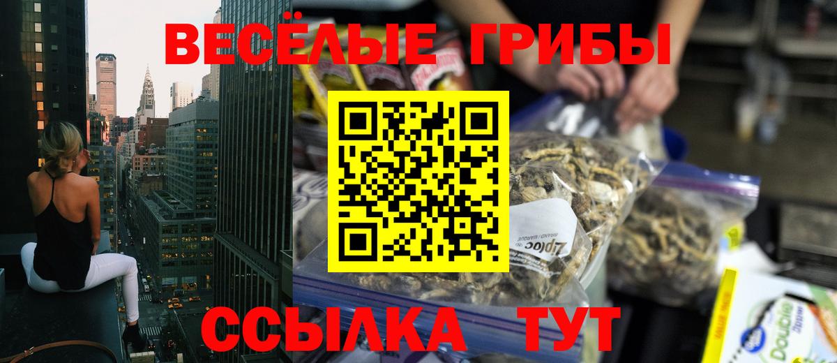 Первоуральск  Галлюциногенные грибы Psilocybe  что такое   Вход с VPN 